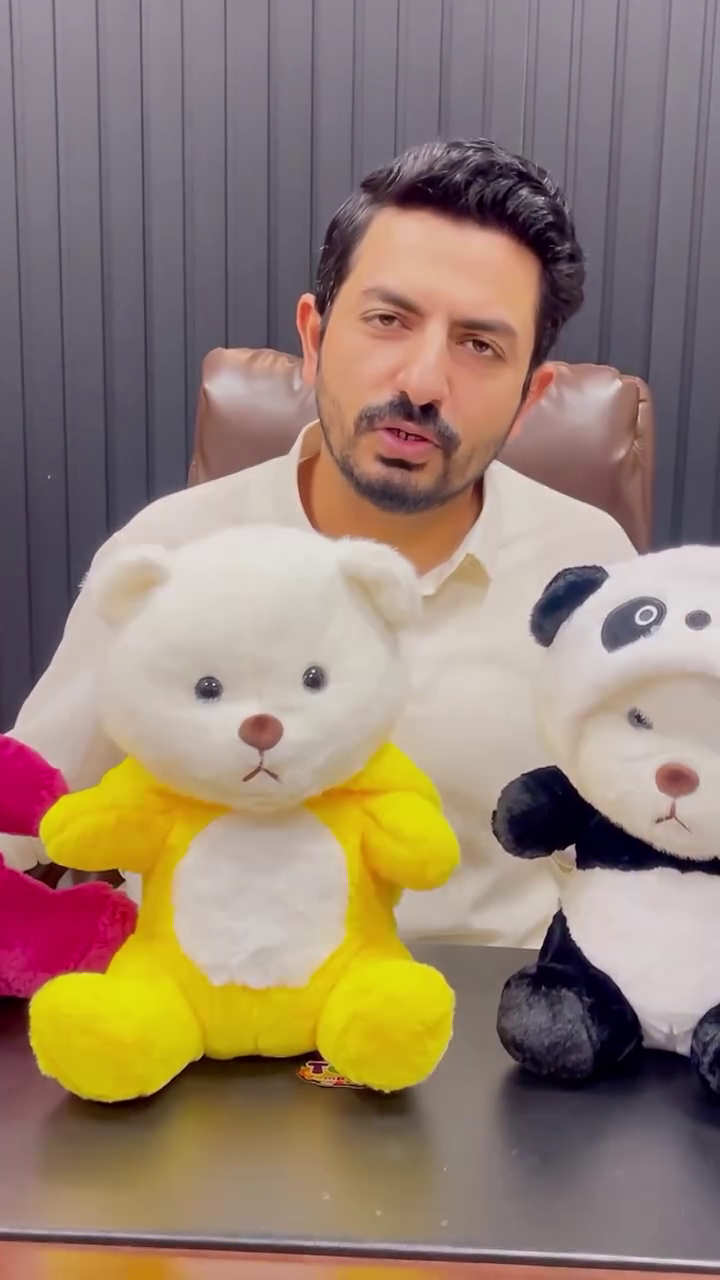 Super Soft Cute Teddy Bear Plush Toys for Kids & Gifts
