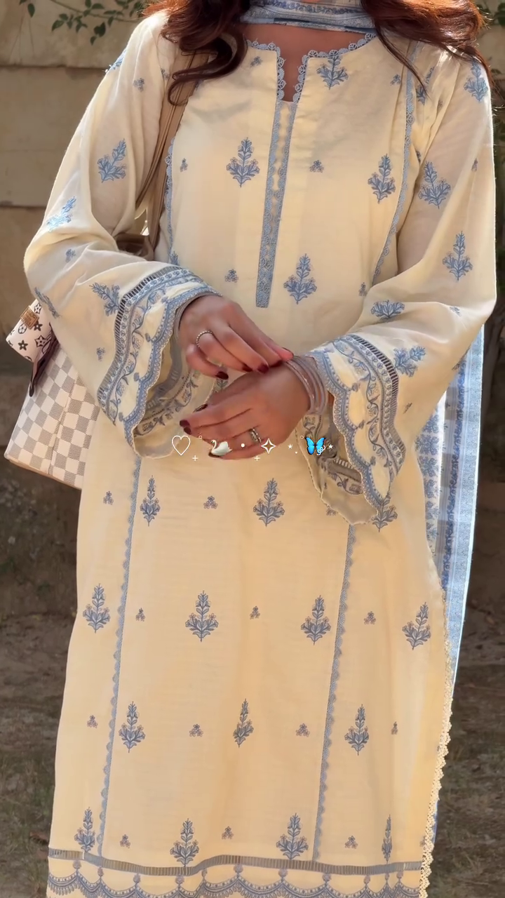 Graceful Blue Printed Kurti Collection
